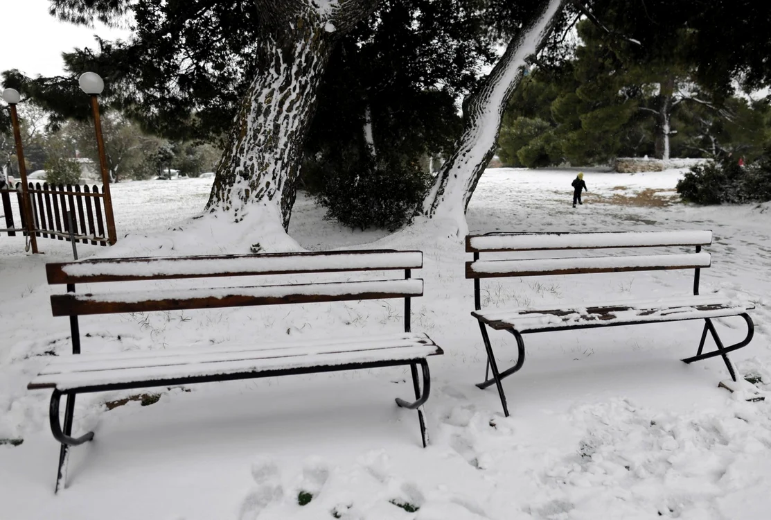 Zeci de mii de copaci au diispărut din parcuri şi păduri FOTO Reuters