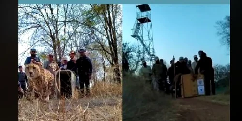 rasi Eliberati india Fb jpg