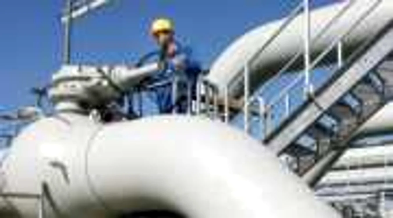 Consumatorii industriali ar putea primi şi anul viitor gaze doar din producţia internă