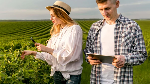 Diversificarea culturilor agricole Strategii pentru fermieri moderni jpg