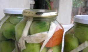 CLIIMA20121104 0010 1 jpeg