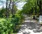 parc nord ploiesti