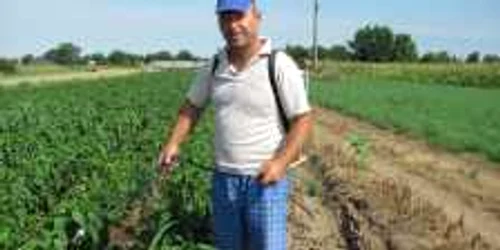 Fermierii sunt mulţumiţi de modul în care se prezintă culturile