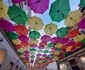 Strada Alba Iulia din Timișoara FOTO Ștefan Both