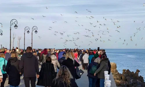 faleza constanta 24 februarie jpg