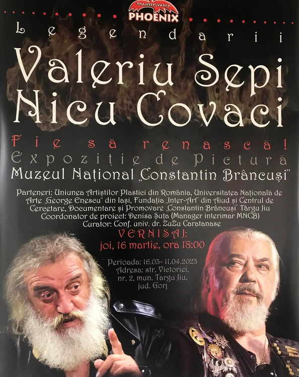 Afișul expoziției de la Târgu Jiu