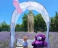 Lavanda 29 jpg