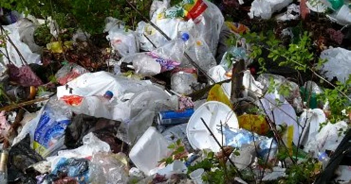 Bacău: Nou născut abandonat de mamă şi devorat de câini