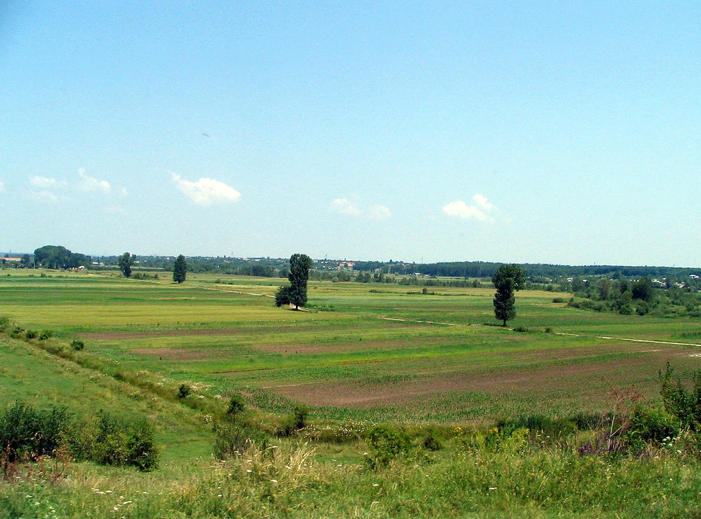 Cuminţenia Pămîntului Agricol, în viziunea lui Marian Munteanu jpeg
