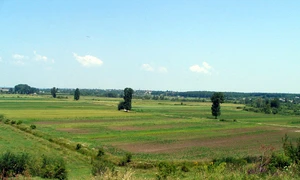 Cuminţenia Pămîntului Agricol, în viziunea lui Marian Munteanu jpeg