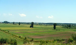 Cuminţenia Pămîntului Agricol, în viziunea lui Marian Munteanu jpeg