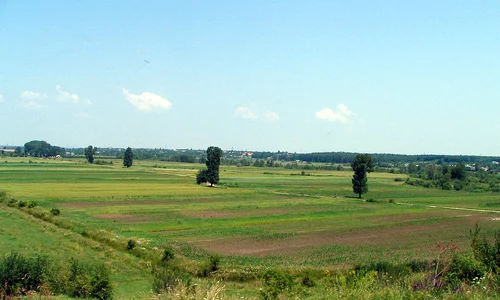 Cuminţenia Pămîntului Agricol, în viziunea lui Marian Munteanu jpeg