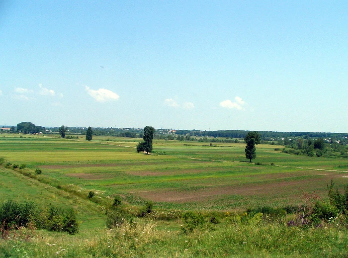 Cuminţenia Pămîntului Agricol, în viziunea lui Marian Munteanu jpeg