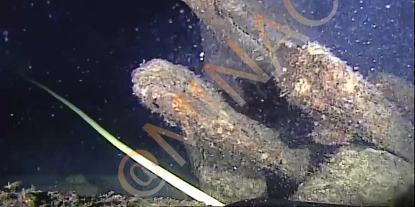 corabii lemn marea negra foto muzeu arheologie constanta