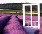 lavanda 7 png