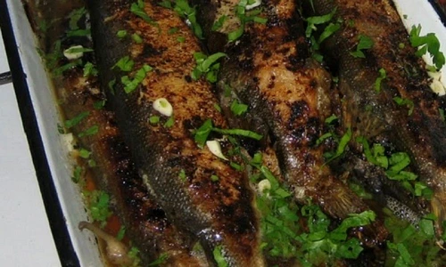 saramura lufar jpeg
