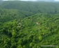 Pestera Găunoasa Hunedoara Foto Daniel Guță ADEVĂRUL (41) JPG