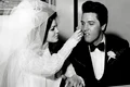 2 elvis profimedia 0141625556 jpg jpeg