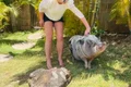 britney spears terapie porc 2 jpeg