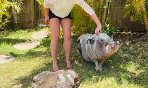 britney spears terapie porc 2 jpeg