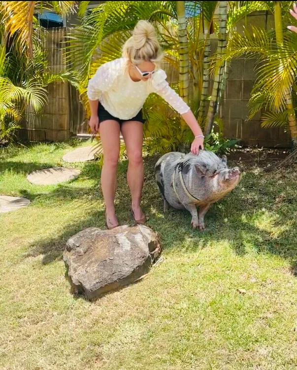
    Britney Spears s-a pozat alături de porcușorul care o ajută să scape de depresiefoto: Instagram  