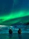 noel bauza aurora 1185464 jpg