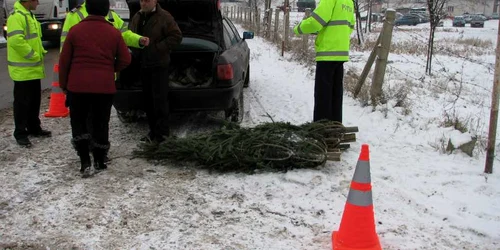 Brazii au fost confiscaţi.