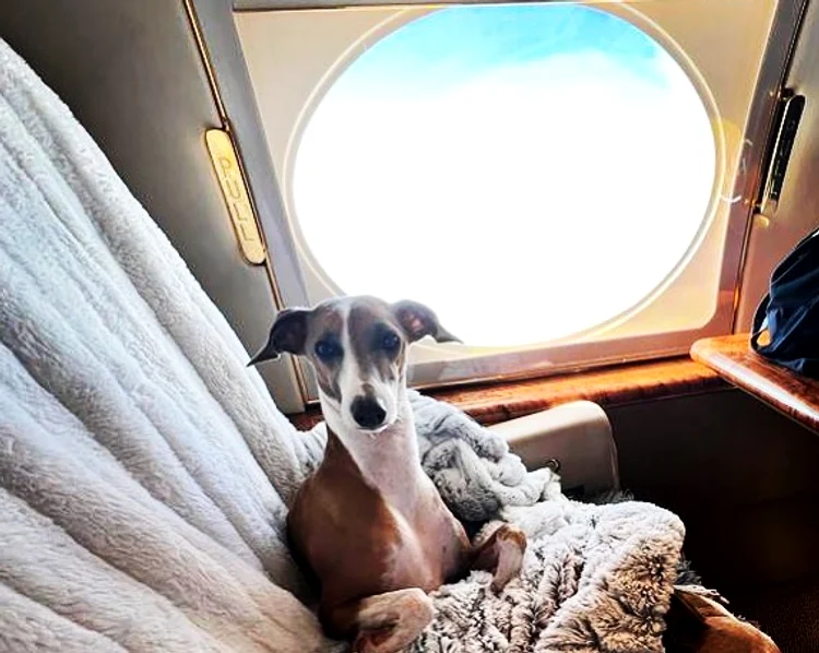 FOTO Facebook K9 JETS