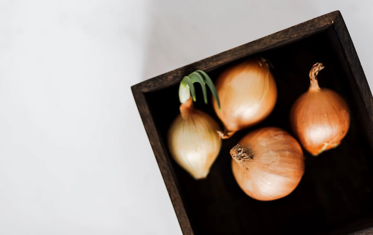 De ce este bine să pui ceapă noapte în camera în care dormi / Foto: Pexels