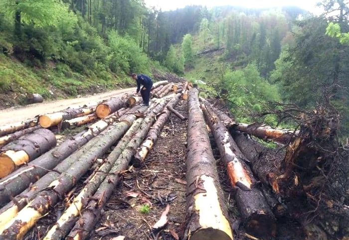 FOTO Adevărul