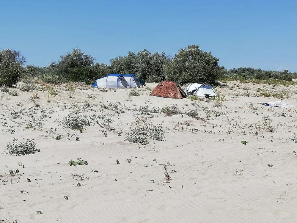 Cort in zona protejata din Delta FOTO ARBDD