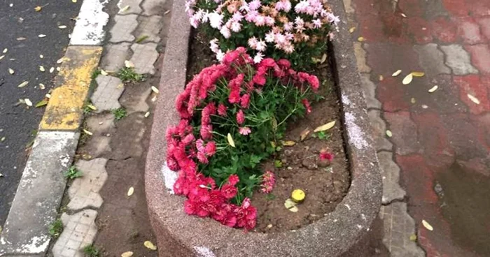 spatiu verde vandalizat