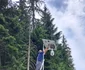 Camera video este, deja, funcţională. Foto: Direcţia Silvică Bihor