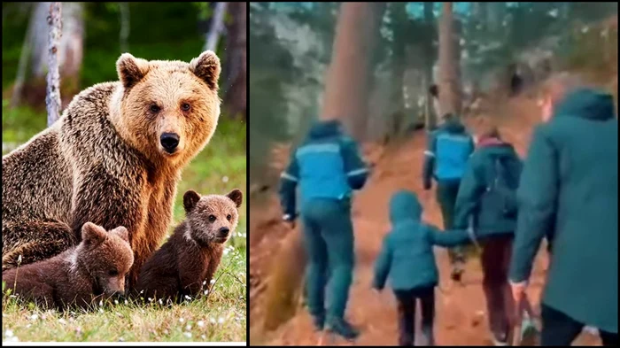 Turiștii care s-au întâlnit cu ursoaica 