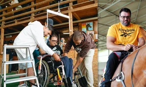 banner terapie cu cai jpg