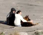 3 shailene woodley divergent big little lies 2 aaron rodgers nfl jpg jpeg