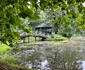 Heleșteul și insula din Parcul Regal Săvârșin. FOTO: Casa Regală