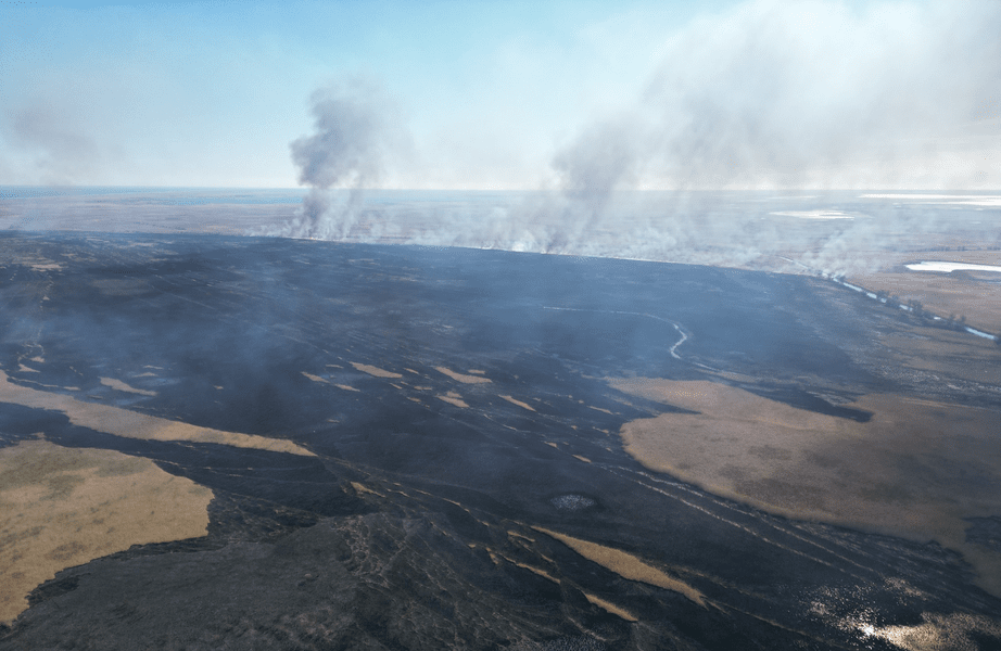 Incendiile de vegetație din Delta Dunării, impact grav asupra biodiversității. Amenzi mari pentru arderea vegetației uscate