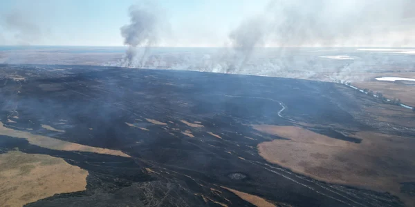 Incendiu vegetatie delta dunarii foto arbdd jpg