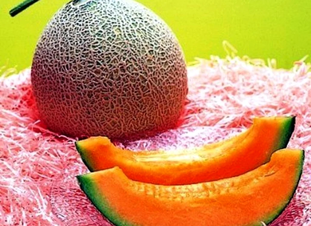 Yubari-king-melon-luxury-food