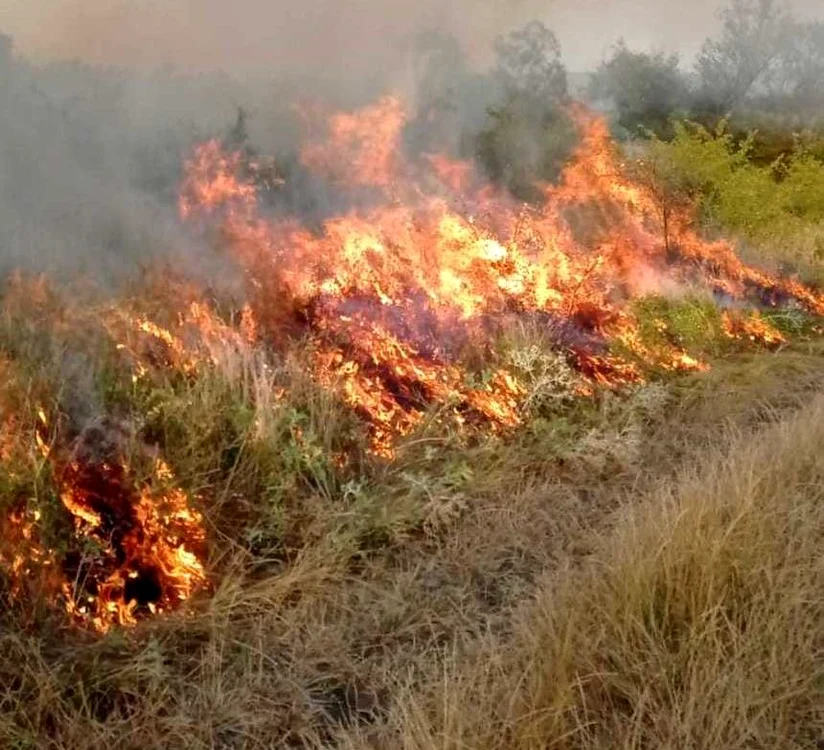 
    Incendiul de vegetaţie extins la gospodării a fost stinsFoto: news.ro  