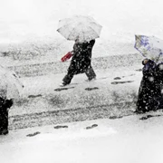 ninsori si ger in martie getty jpg