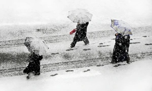 ninsori si ger in martie getty jpg