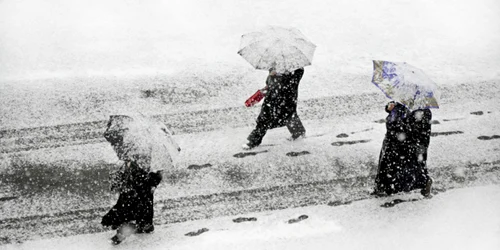 ninsori si ger in martie getty jpg