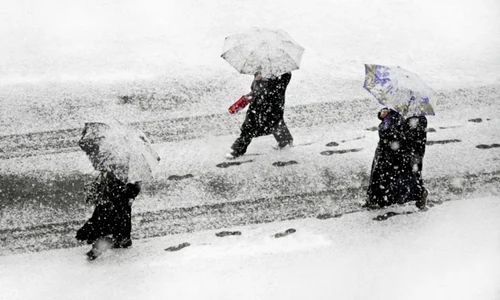 ninsori si ger in martie getty jpg