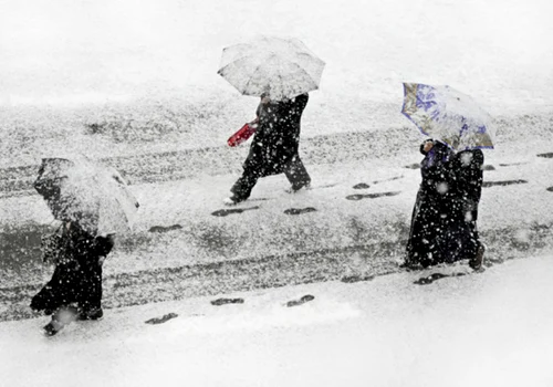 ninsori si ger in martie getty jpg