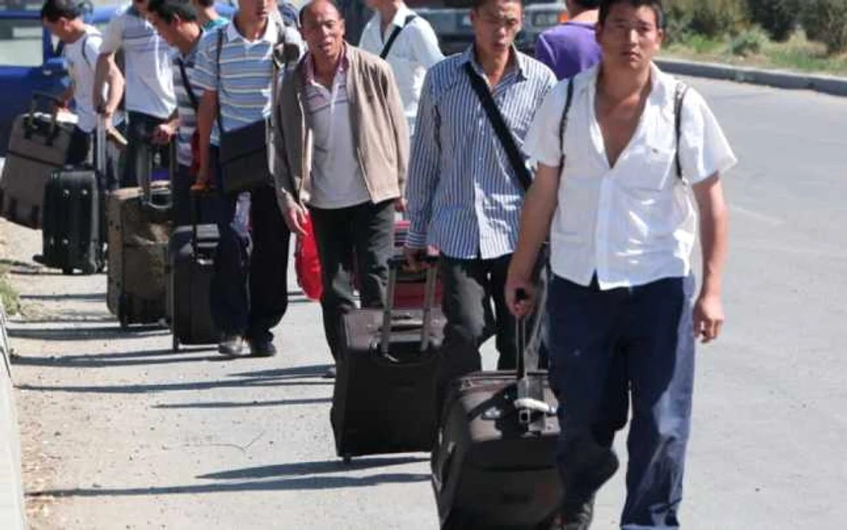 Muncitorii chinezi de la santierul Palas merg dinspre Tomesti spre Palas 