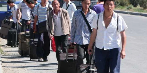 Muncitorii chinezi de la santierul Palas merg dinspre Tomesti spre Palas