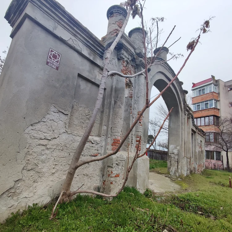 Poarta este monument istoric (foto: C . Mazilu)