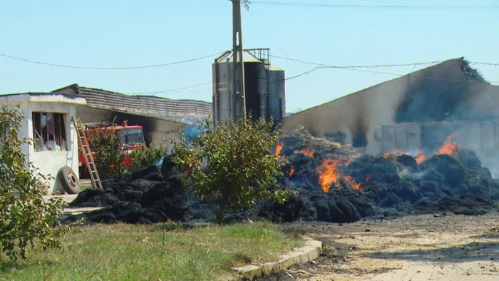 Ferma Safir Roşieşti în flăcări